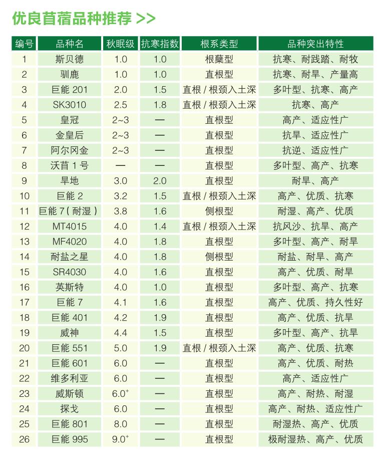 优良苜蓿品种推荐.jpg