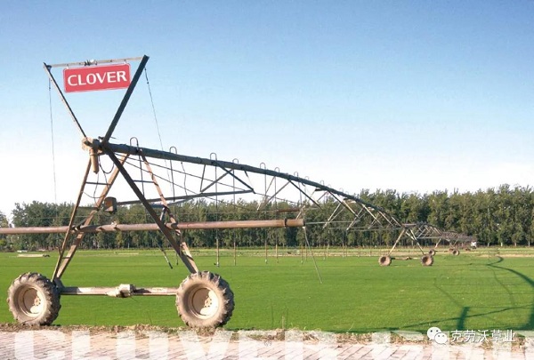 1562655324915162.jpg 微信图片_20190709144308.jpg